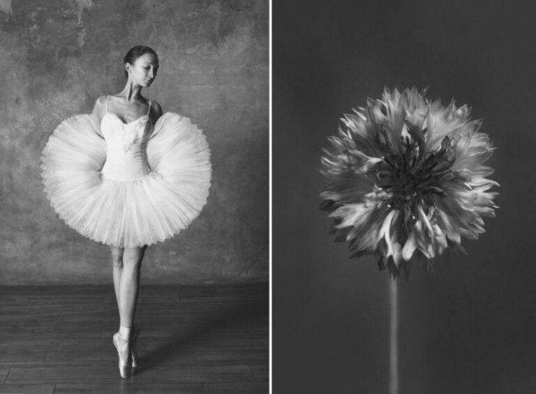 Серія фотографій «Балерина та квіти»