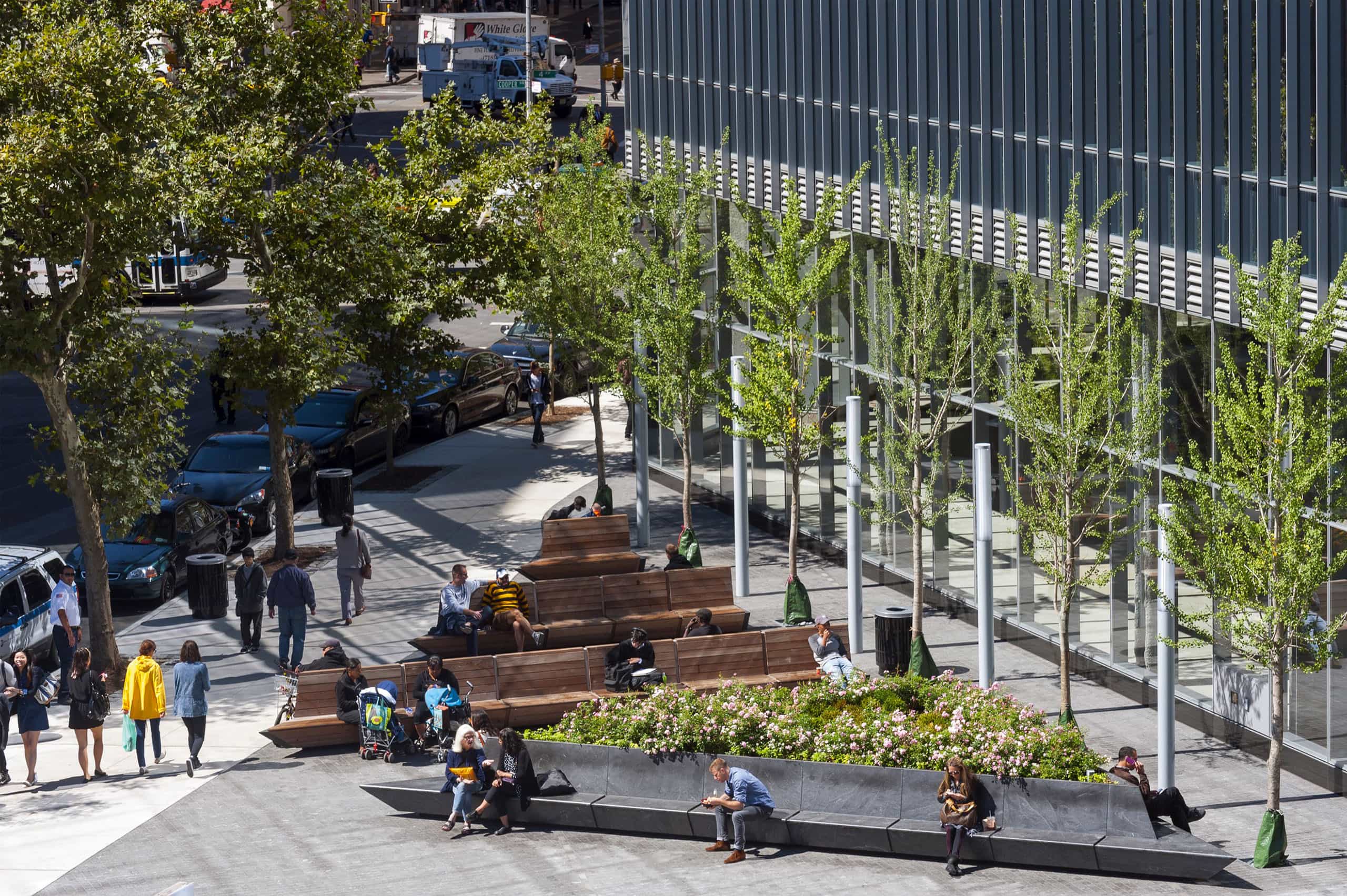 зображення до посту: Громадська організація &laquo;Плато&raquo;: екоактивісти, які розпочали нову епоху