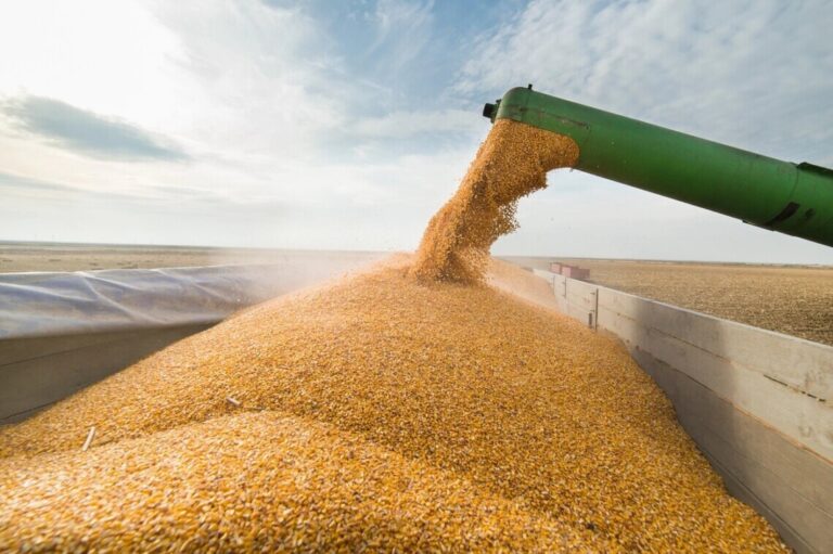 Ukraine Exported Almost 2 Million Tons of Grain
