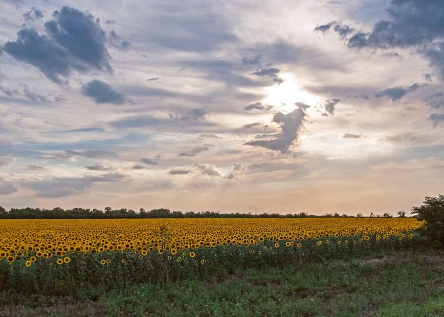 around Kramatorsk