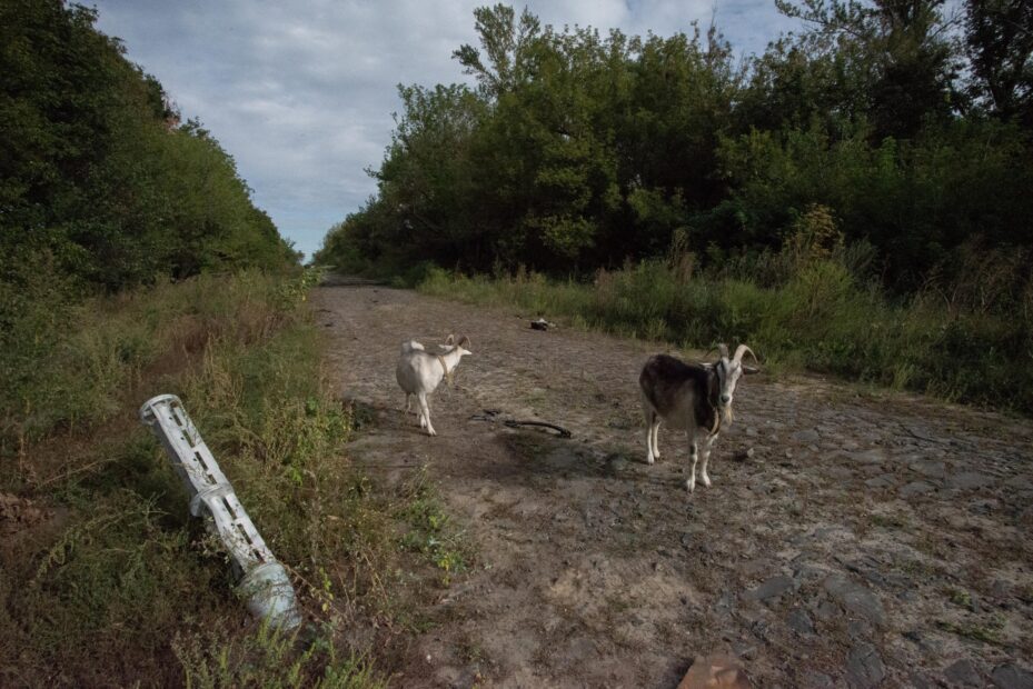 зображення до посту: Destroyed Houses and Scattered Landmines: Hrakove Village After Deoccupation – Photo