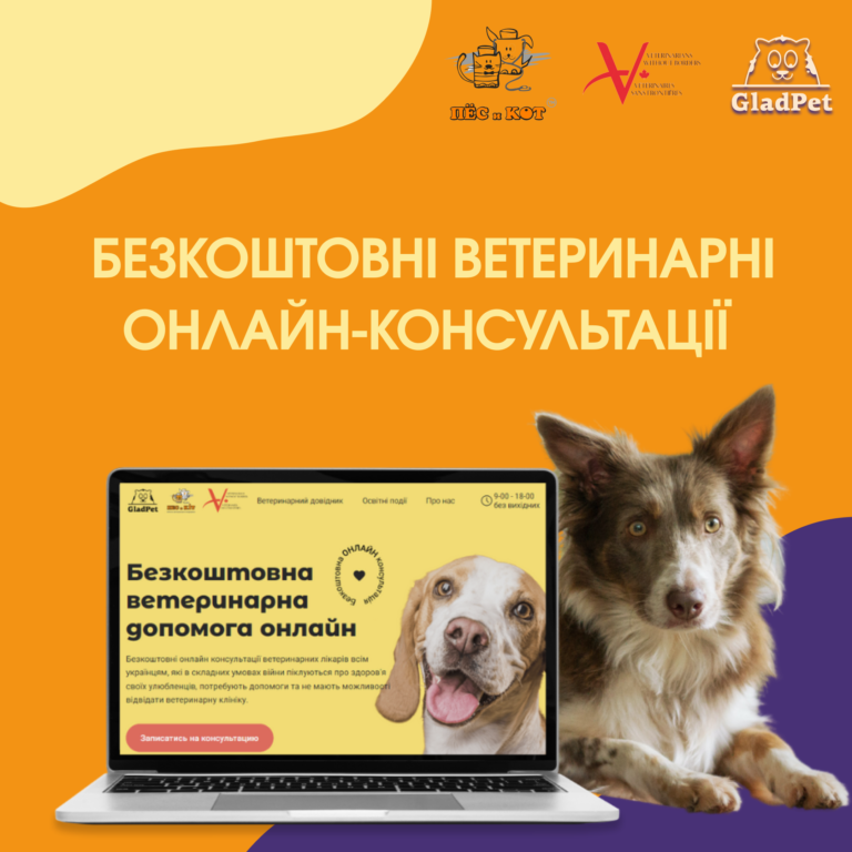 Безоплатні онлайн-консультації для тварин: як отримати