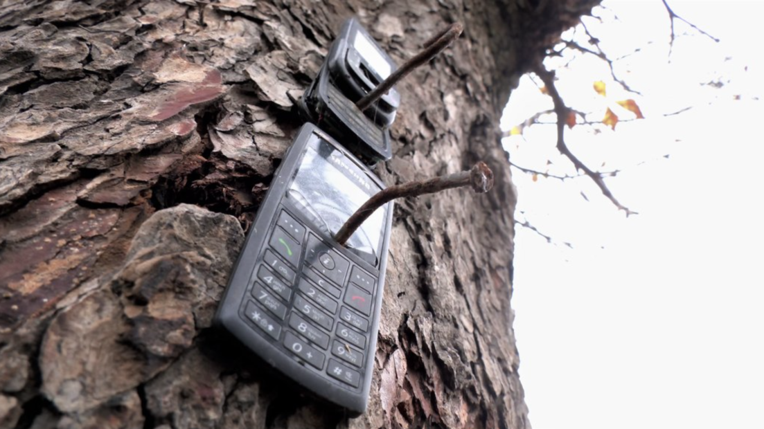 Російські окупанти забирали у жителів Козачої Лопані телефони і прибивали до дерева, жовтень 2022. Фото: Суспільне Харків