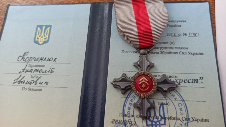 Фейк: Залужний вручив бійцям, що служили у Харківській області, нацистські нагороди