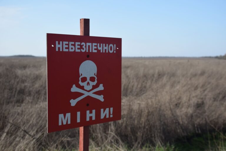 Внаслідок підриву на мінах в Україні загинуло 277 осіб — ДСНС