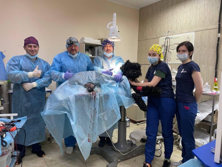 Kharkiv Vet Fitted a Bio-Integrated Prosthesis to a Dog Injured by Russian Shelling