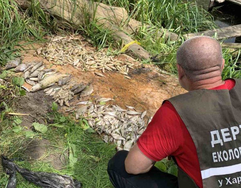 У річці Уди загинуло понад 2 тисяч рибин – Держекоінспекція