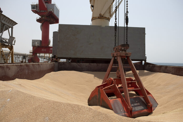 More Than 1.3 Million Tons of Grain Harvested in Kharkiv Oblast 