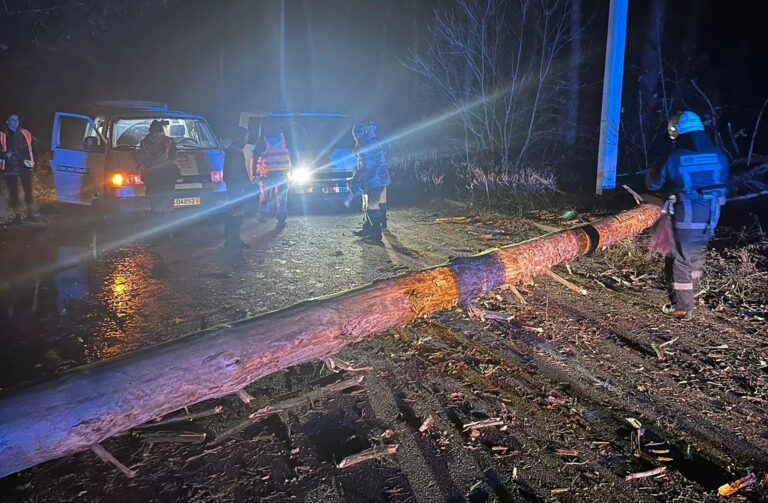 У Харківській області через негоду без світла залишились понад 6 тисяч споживачів