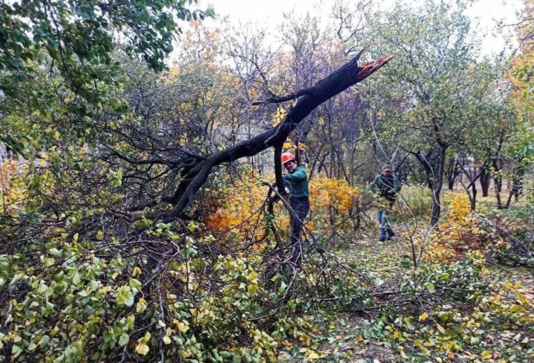 У Харківській міськраді повідомили, який район найбільше постраждав від негоди