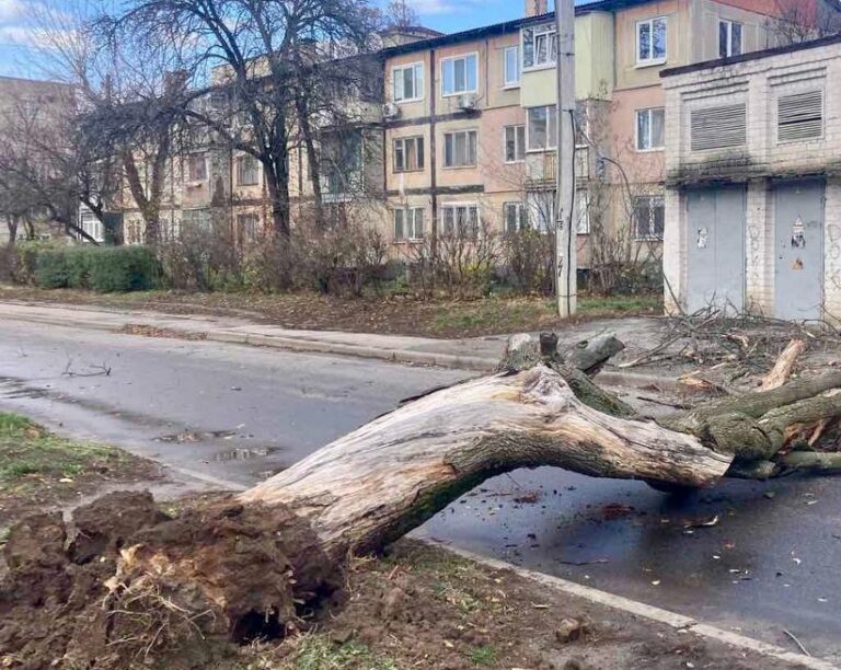 У Харкові вирує буревій: є повалені дерева – фото