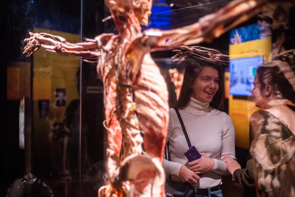 Виставка «Body Worlds», що проходила у Києві у 2018/2019 році