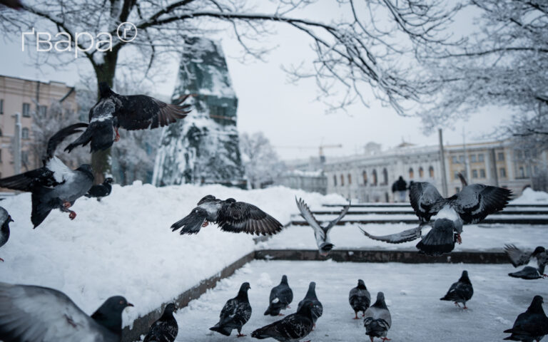 На Харківщині прогнозують сильний вітер 28 грудня
