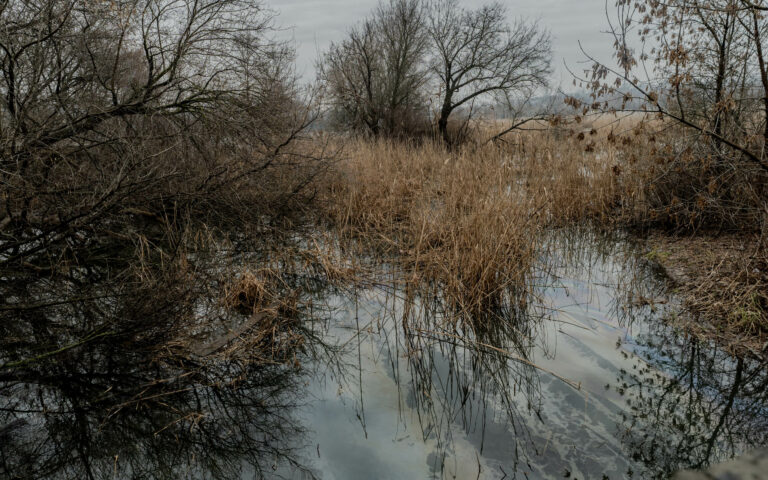 Russian Attack Polluted Kharkiv Rivers With Oil Products, in Photos