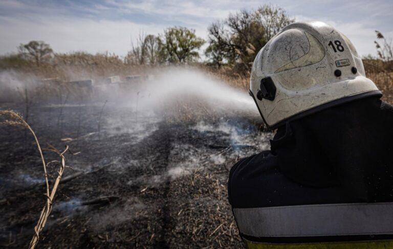 У Харкові місцеві випалюючи очерет спричинили масштабну пожежу