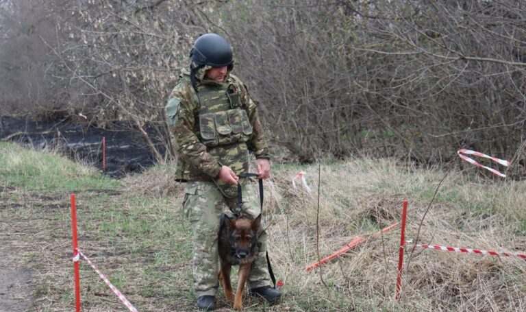 Поліцейські собаки допомагатимуть розміновувати Харківщину