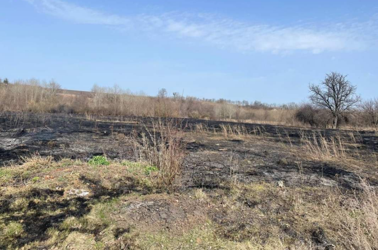 На Харківщині через випалювання трави загинула жінка