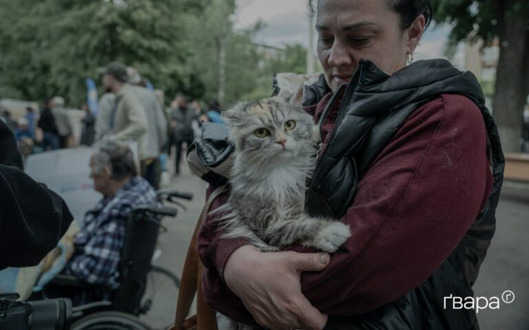 Волонтери продовжують евакуювати тварин з Вовчанська