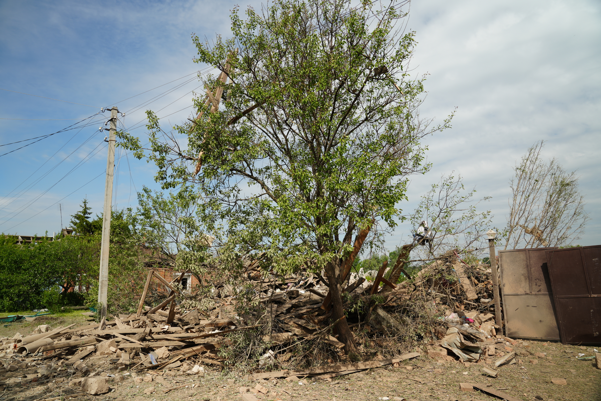 A tree near Serhii's destroyed house, also damaged by the direct hit of a glide bomb / Photo: Yana Sliemzina for Gwara Media