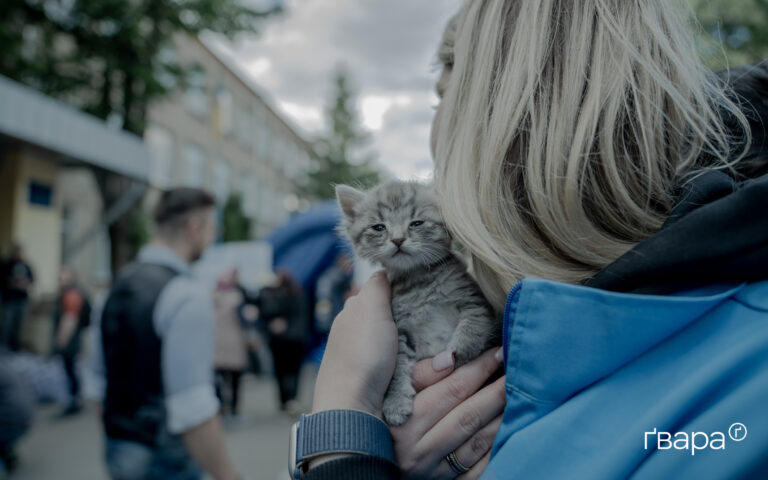 Волонтери вивезли понад півтисячі тварин з півночі Харківської області