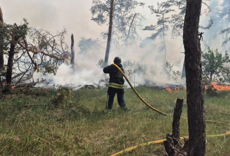За добу в Куп’янському районі через обстріли виникло три лісові пожежі