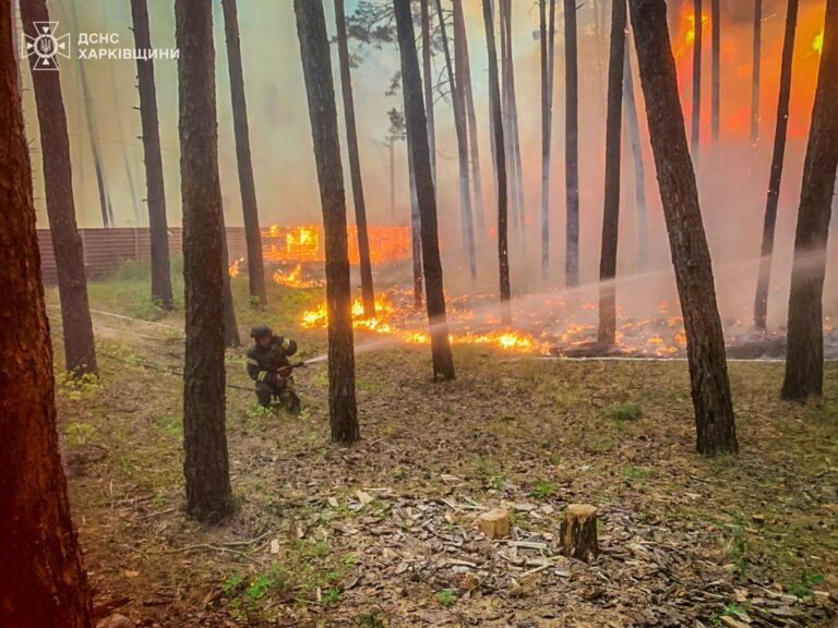 Через спеку на Харківщині сталося 15 пожеж