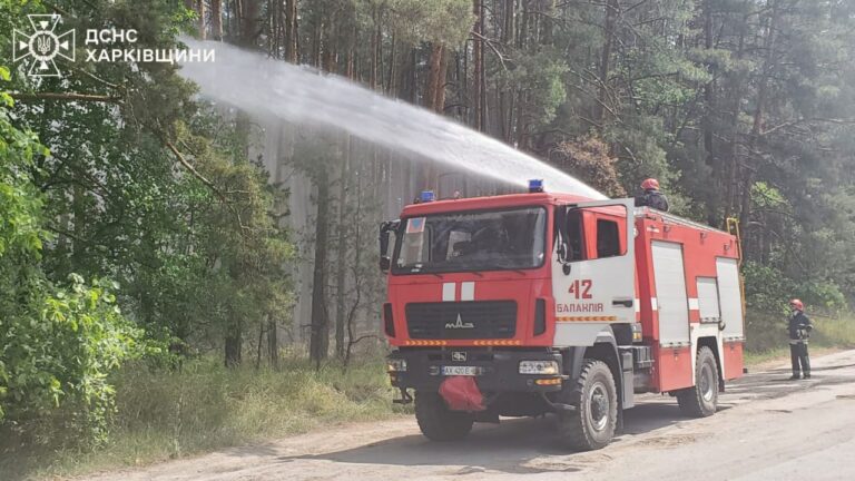 На Харківщині гасять 14 лісових пожеж — ДСНС
