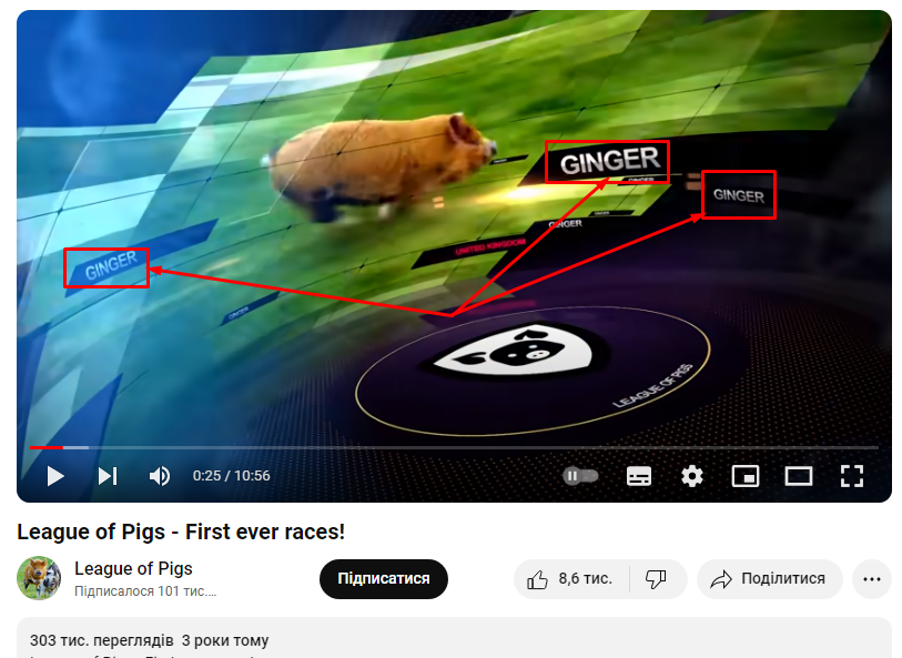 Справжній вигляд відеокадру зі свинею по кличці GINGER