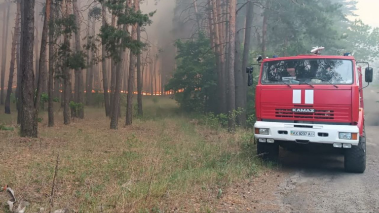 Рятувальники ліквідували лісову пожежу на Харківщині