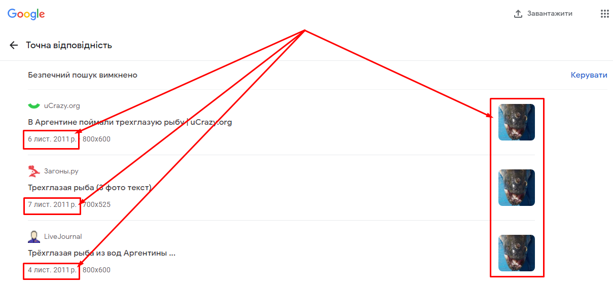 Скриншот результату пошуку в сервісі Google зі зворотного пошуку зображень 