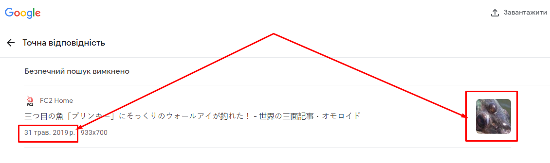 Скриншот результату пошуку в сервісі Google зі зворотного пошуку зображень 
