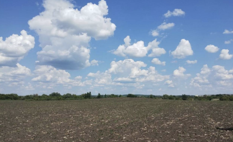 Харківська прокуратура вимагає повернути шість курганів у власність держави