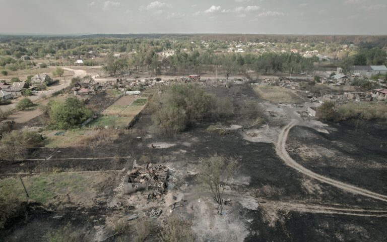 З початку вересня на Харківщині 133,3 гектара лісів було охоплено пожежами