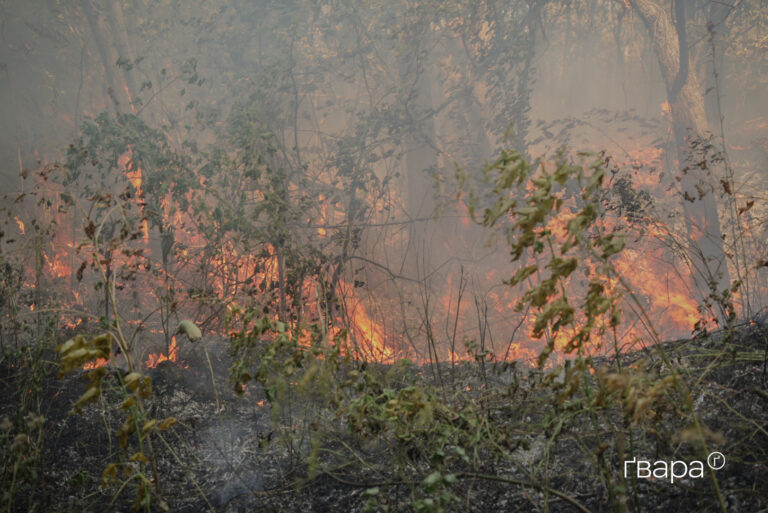 До ліквідації пожежі у Студенку на Харківщині залучено 275 пожежників