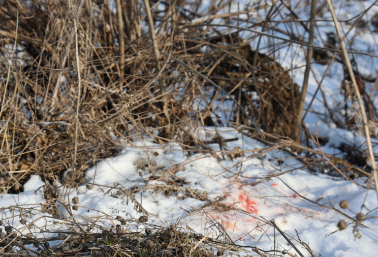 У поліції розповіли деталі підриву чоловіка на вибухівці в Чугуївському районі