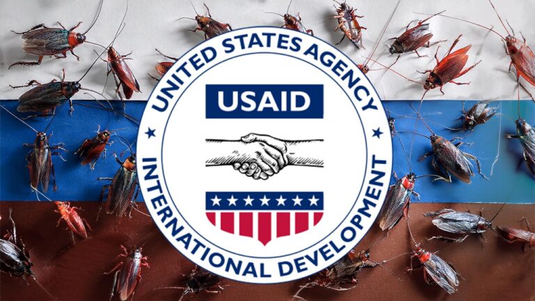 Дайджест. Дезінформаційна кампанія проти USAID