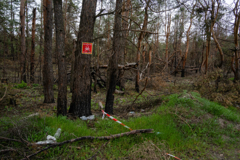 Italian agency announces call for proposals for demining of Kharkiv Oblast in Ukraine 