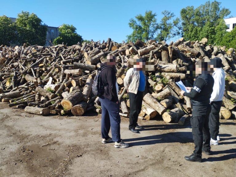 Посадовців та підприємців підозрюють у розтраті 90 млн гривень на закупівлі дров для ЗСУ