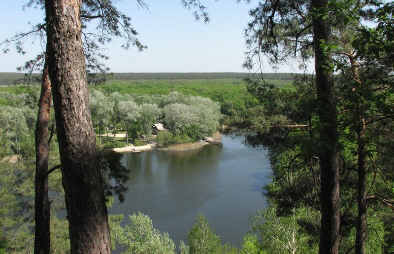 Національний природний парк «Гомільшанські ліси»