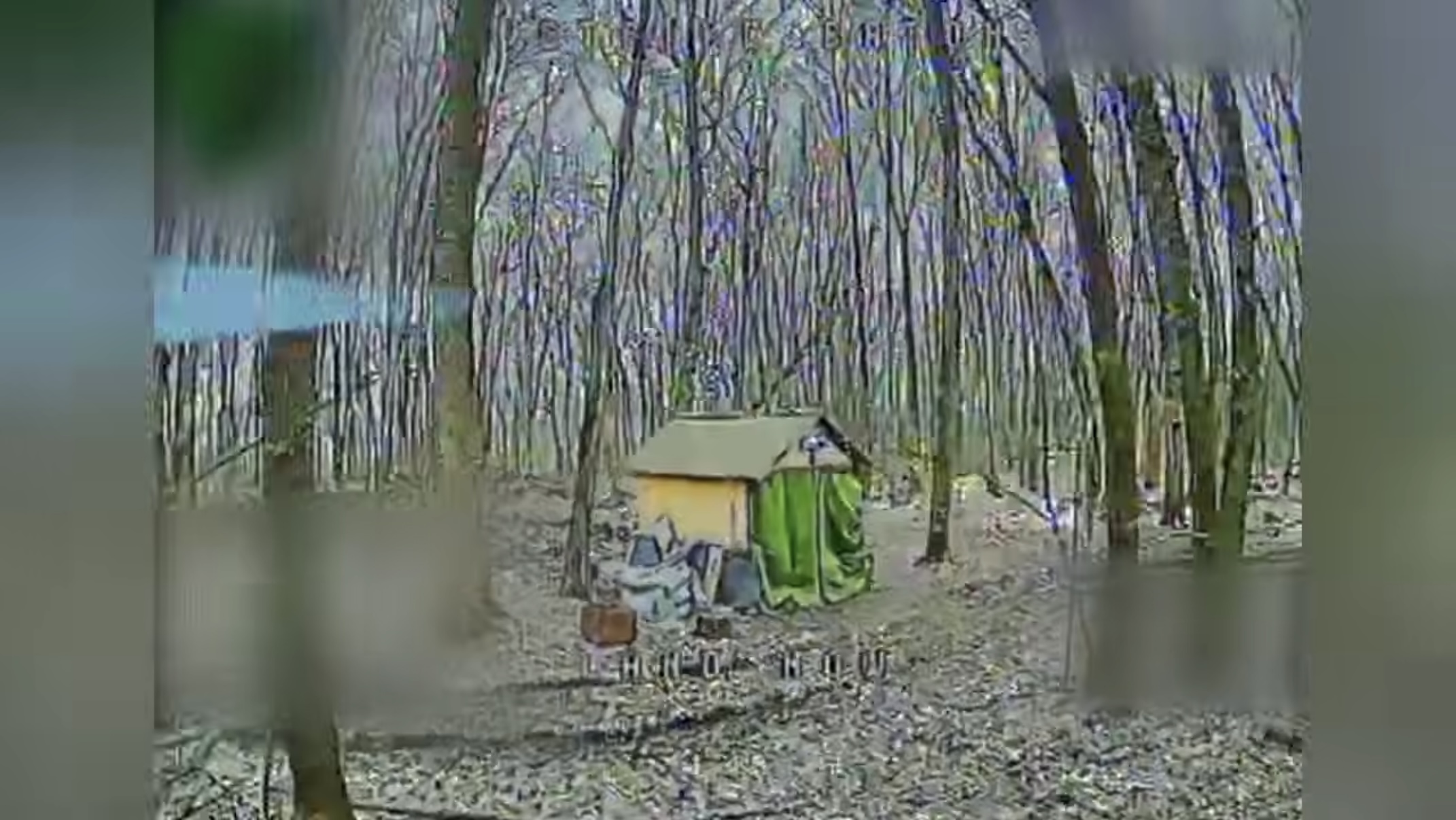 Ukrainian drones destroy Russian storage of Molniya drones in north Kharkiv oblast