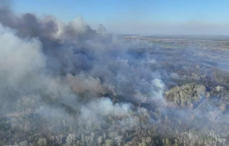 Russia’s war caused over $12 billion of damage to Kharkiv oblast’s environment