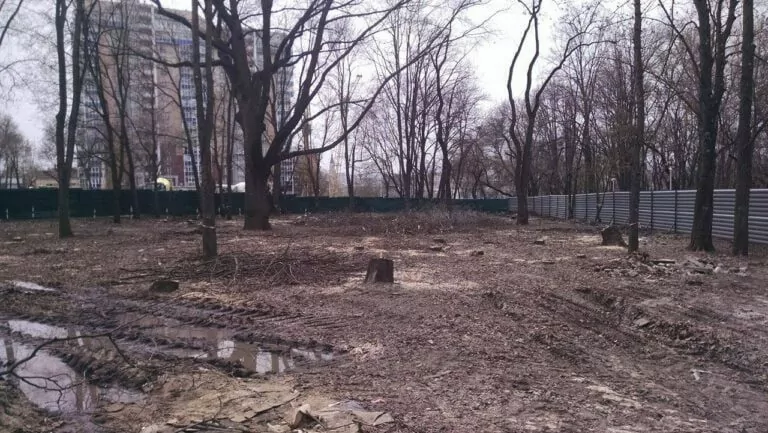 Пиляти не можна залишити: зелене господарство по-харківськи