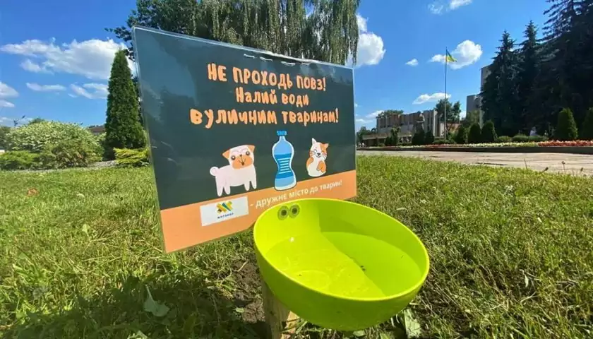 зображення до посту: Громадська організація «Плато»: екоактивісти, які розпочали нову епоху