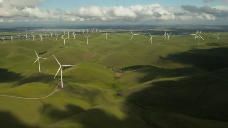 The PLATO NGO: Eco-activists Who Have Begun a New Era Against Ecological Problems