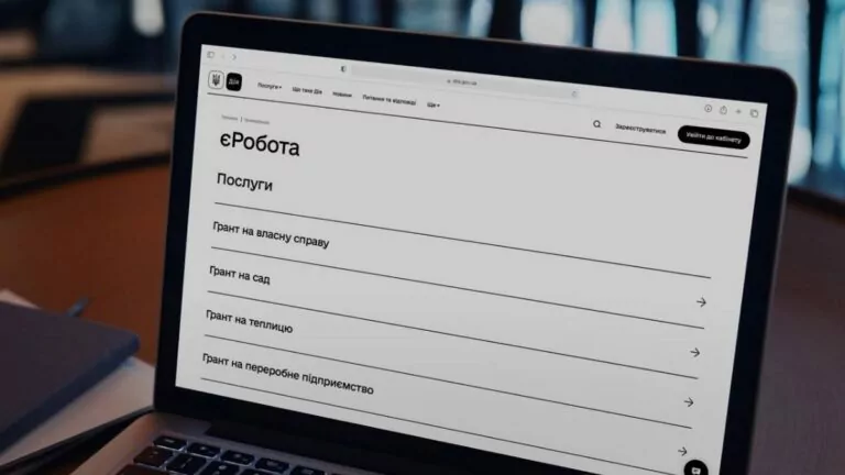Кабмін погодить перші 500 грантів за програмою єРобота