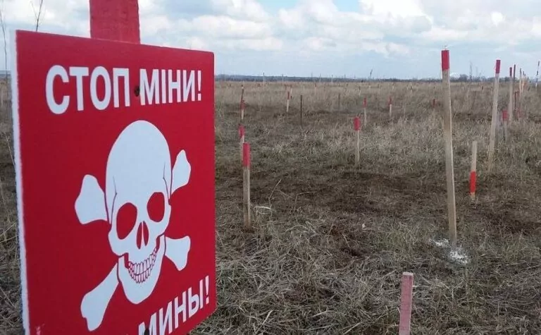 У Новій Гусарівці чоловік косив траву та підірвався на міні