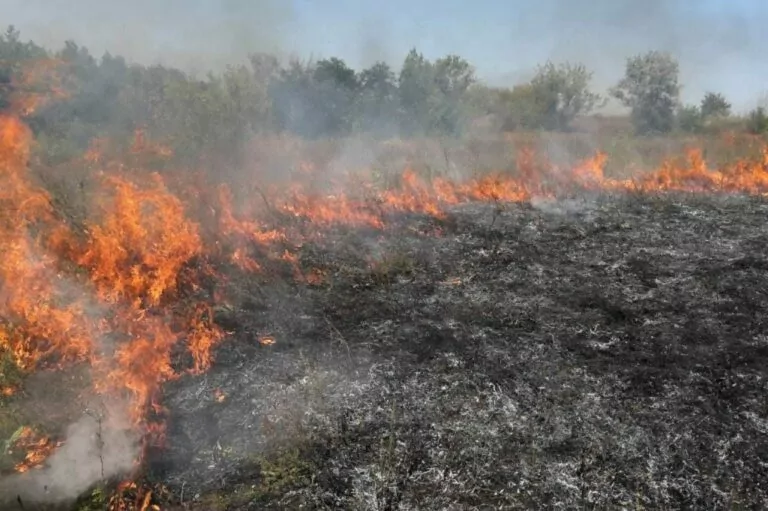 Війна нанесла шкоди довкіллю на понад ₴1 трлн