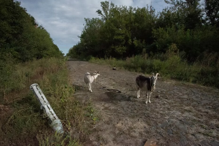 зображення до посту: Destroyed Houses and Scattered Landmines: Hrakove Village After Deoccupation – Photo
