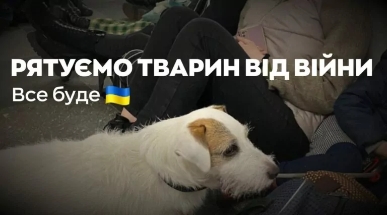 Розпочався віртуальний марш для порятунку тварин