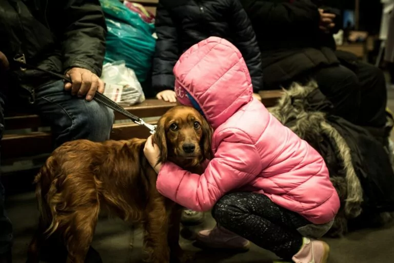 Міносвіти та UAnimals підписали меморандум про співпрацю